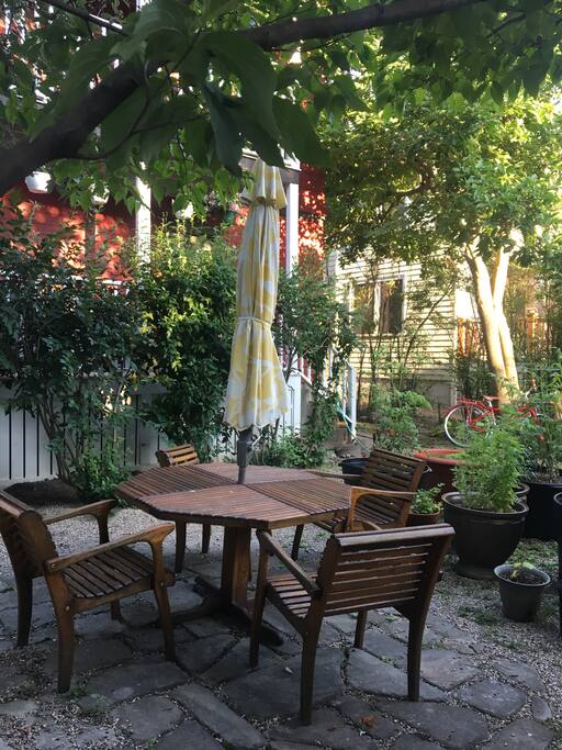 Downstairs garden.