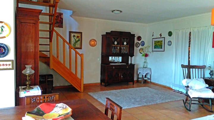 Charming House At The Mountain - Lousã