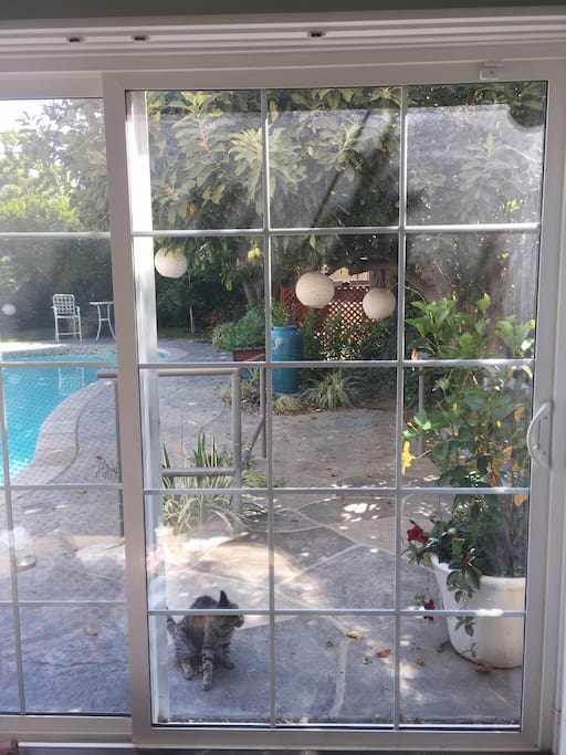View through the 8' wide sliding glass doors when shutters are open.