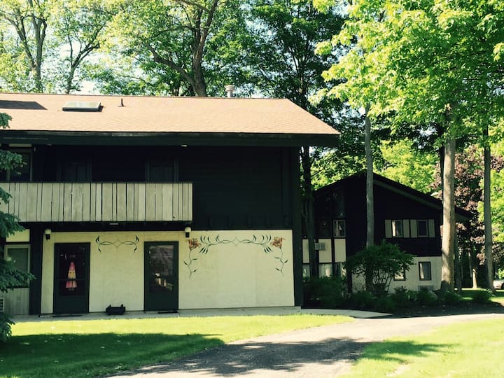 Boyne Mountain Cabin Rentals Chalet and Cottage Rentals Airbnb