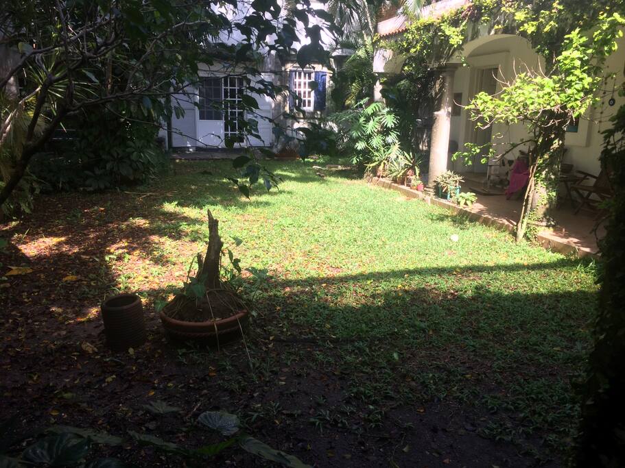 Jardín, Garden