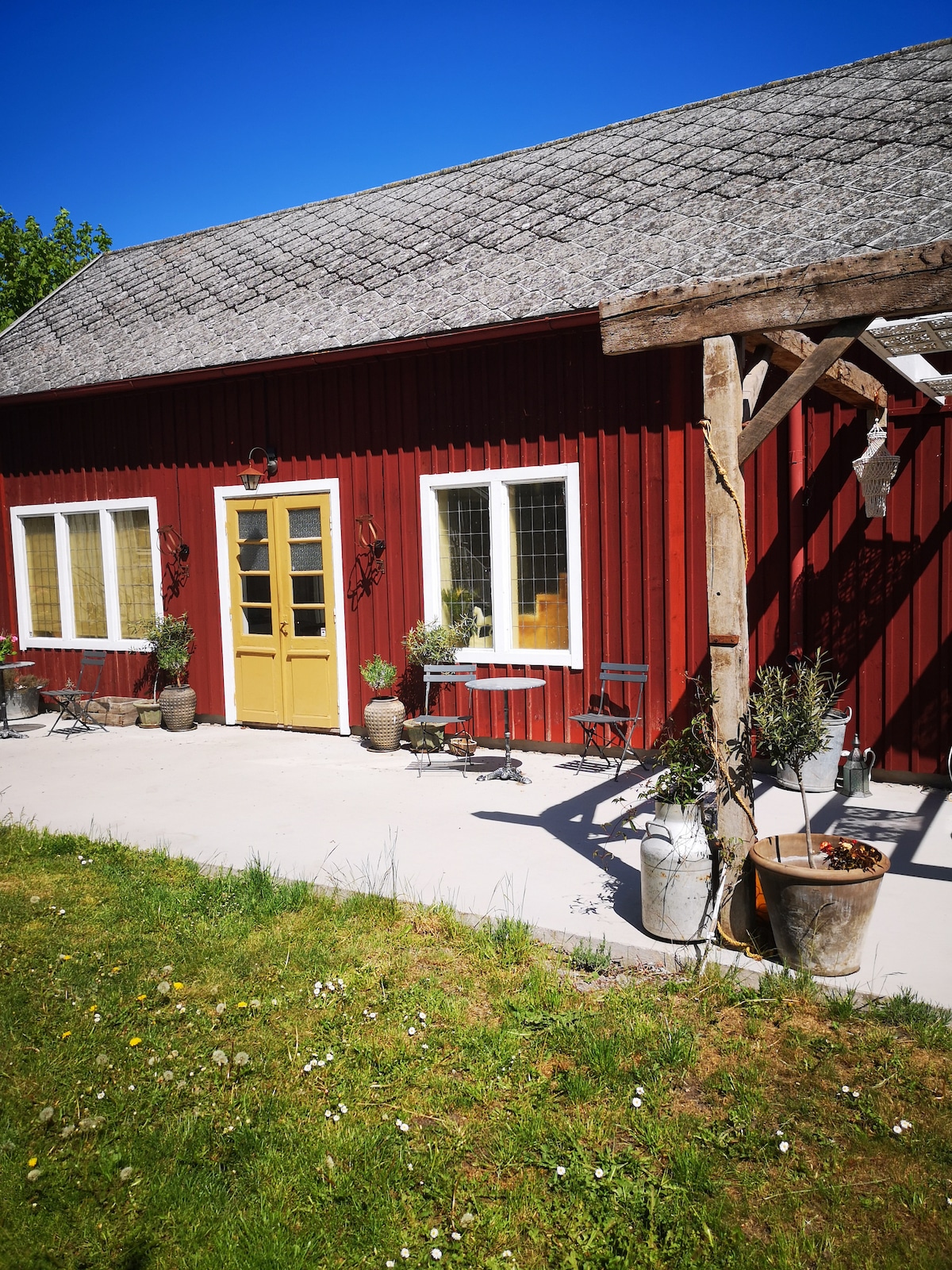 A charming red wooden house is framed by a green lawn, featuring multiple potted plants and two small seating areas with chairs. Large windows allow natural light to fill the interior. A yellow front door adds a welcoming touch to the entrance.
