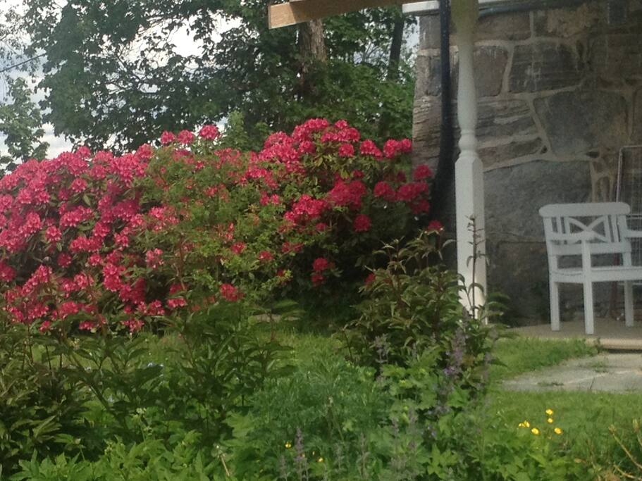 Outside Studio No. 1, in the basement, but, beautiful done