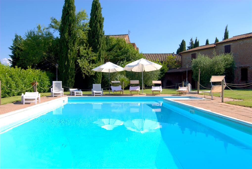 The Swimming Pool.