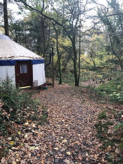 large secluded woodland yurt