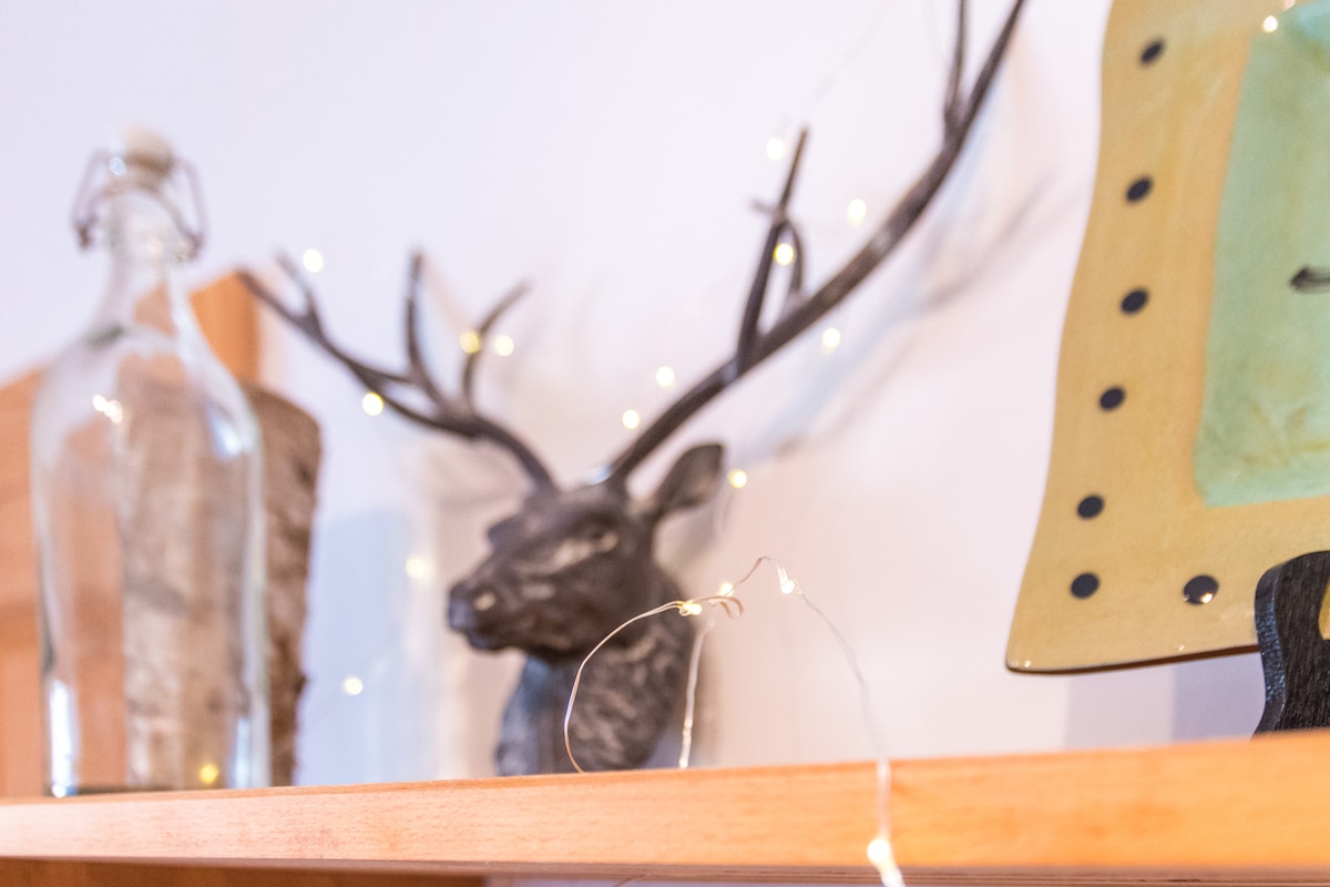A decorative shelf displays a mix of objects, including a metallic deer head with antlers, a clear glass bottle, and an artistic plate featuring a vibrant green design. Small lights strung across the shelf add a subtle twinkle.