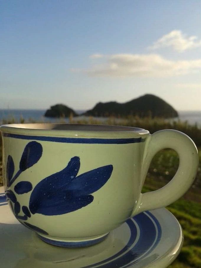 A ceramic cup with a floral design is positioned on a plate, set against a backdrop of lush green grasses and a view of rocky sea features. The ocean and sky are visible in the distance, capturing natural light.
