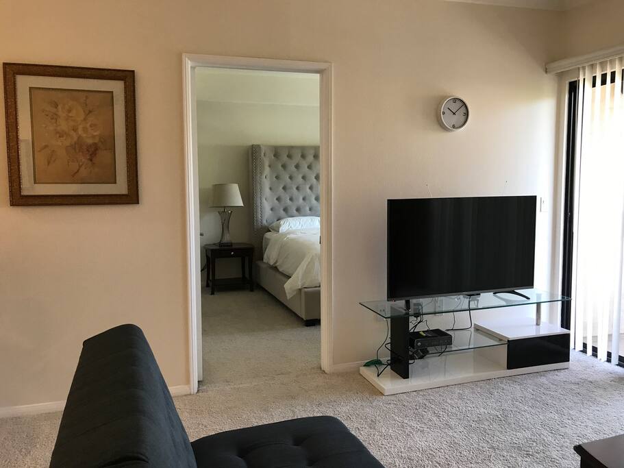 Living room with sofa bed and Smart TV!