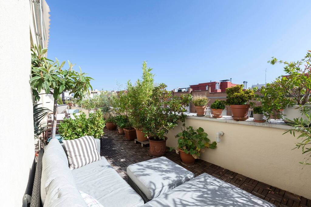 Terrace, in total 40 sqm., beautiful with a lot of plants, -
chill-out area with big sofa.