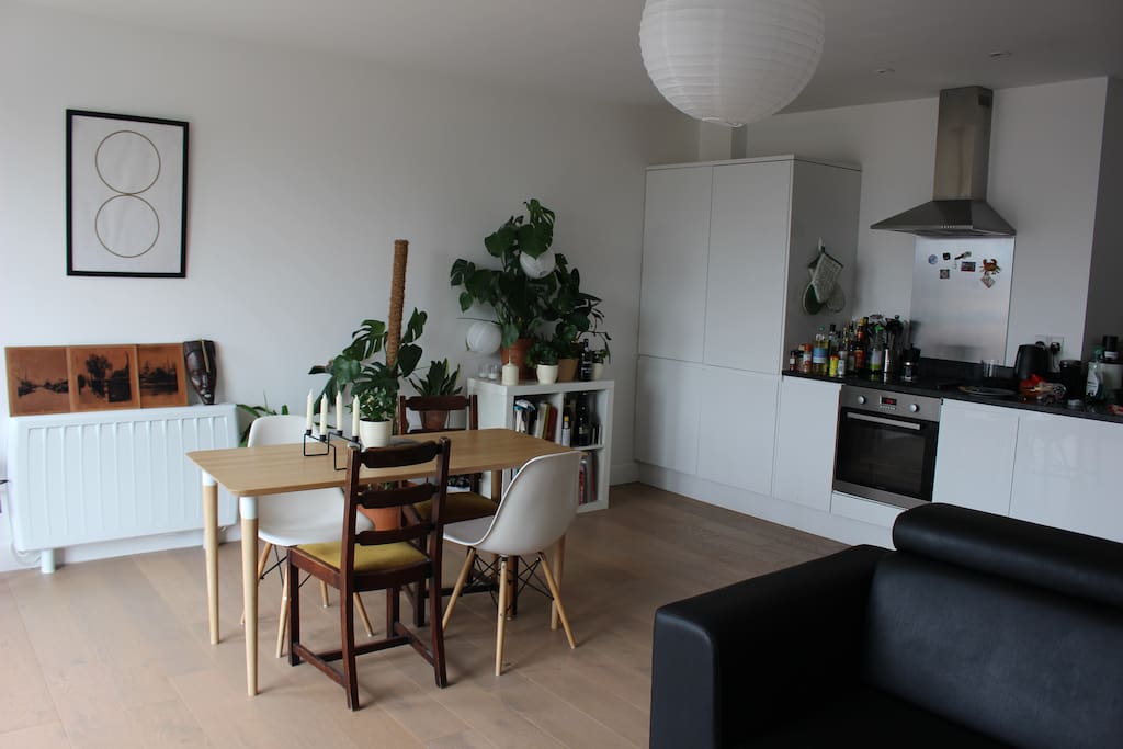 Living Area/Kitchen