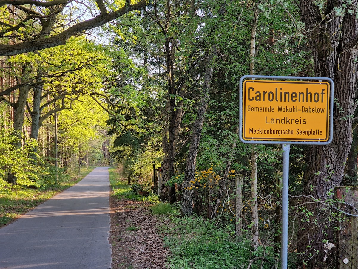 A sign indicating the entry into Carolinenhof is positioned along a tree-lined road. The pathway is bordered by lush greenery and vibrant foliage, suggesting a serene natural environment. Sunlight filters through the leaves, creating a peaceful ambiance.
