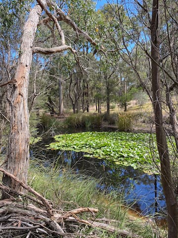 Guest favorite listing in Surf Coast - Bellarine Peninsula