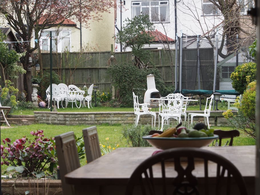 Our garden