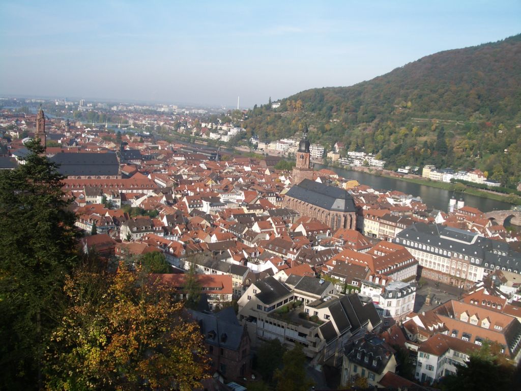 A panoramic view of Heidelberg reveals a landscape of densely packed buildings with red-tiled roofs. The river meanders through the city, and the green hills provide a natural backdrop. The historical architecture is prominent, featuring notable churches and structures amidst the urban scenery.