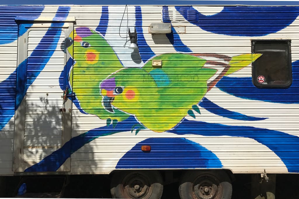 "The Cowaravan" the caravan is covered with a mural showing the Cowara birds, after which the town Cowaramup was named.