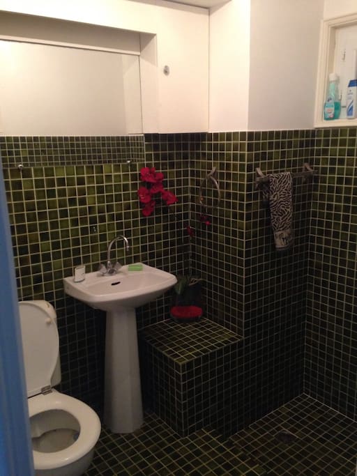 Salle de bain wc douche italienne