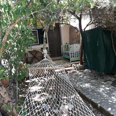 Natasa s peacefuplace among the olive trees