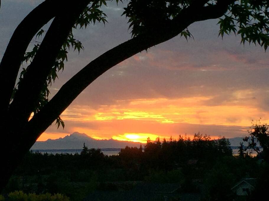 View of Mt. Baker and Straits of Juan de Fuca