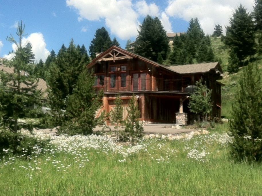 Open Hillside behind