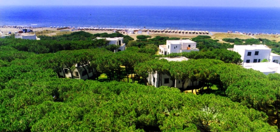 The image captures a panoramic view of lush green trees surrounding white buildings, providing a serene natural landscape. The coastline with a sandy beach is visible in the distance, where sun loungers and umbrellas are arranged along the shore, creating a relaxing atmosphere.