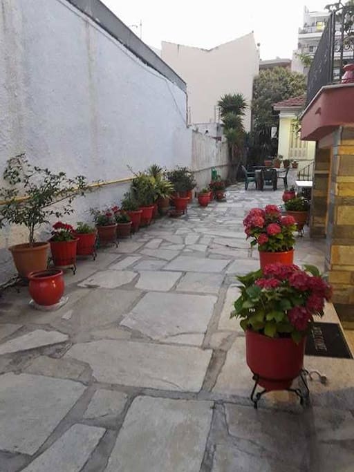 vicky's garden