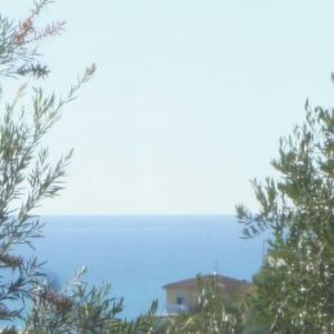 Il panorama
