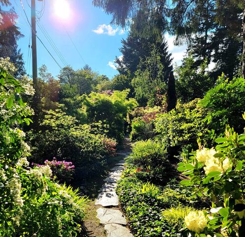 Private Oceanfront Beach House with Hot tub! gallery image 3