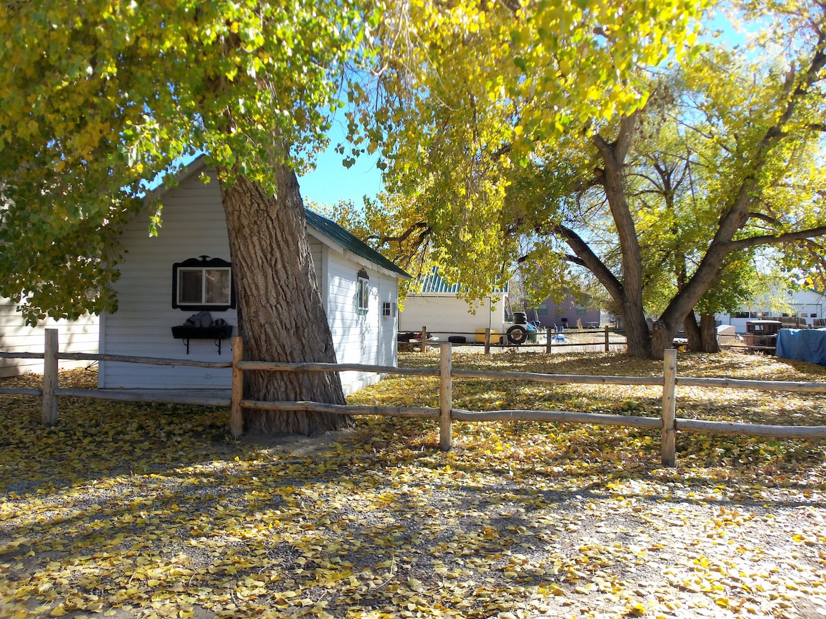 The image depicts a quaint cottage surrounded by a vibrant autumn landscape, with large trees shedding yellow leaves. A rustic wooden fence outlines the property, and a softly illuminated blue sky can be seen in the background, enhancing the cottage's peaceful ambiance.