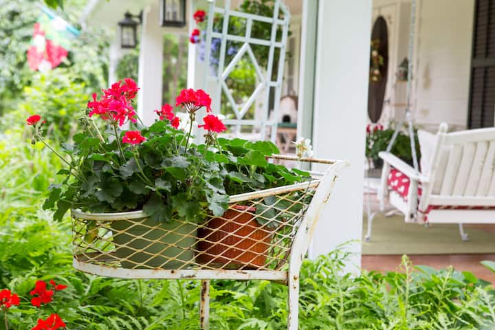Bloemen in het voorjaar en de zomer zijn overal