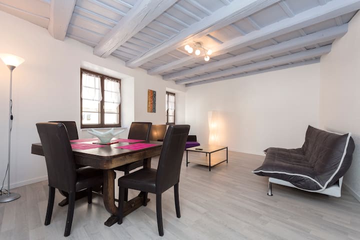 Equiped Appartment Down Town