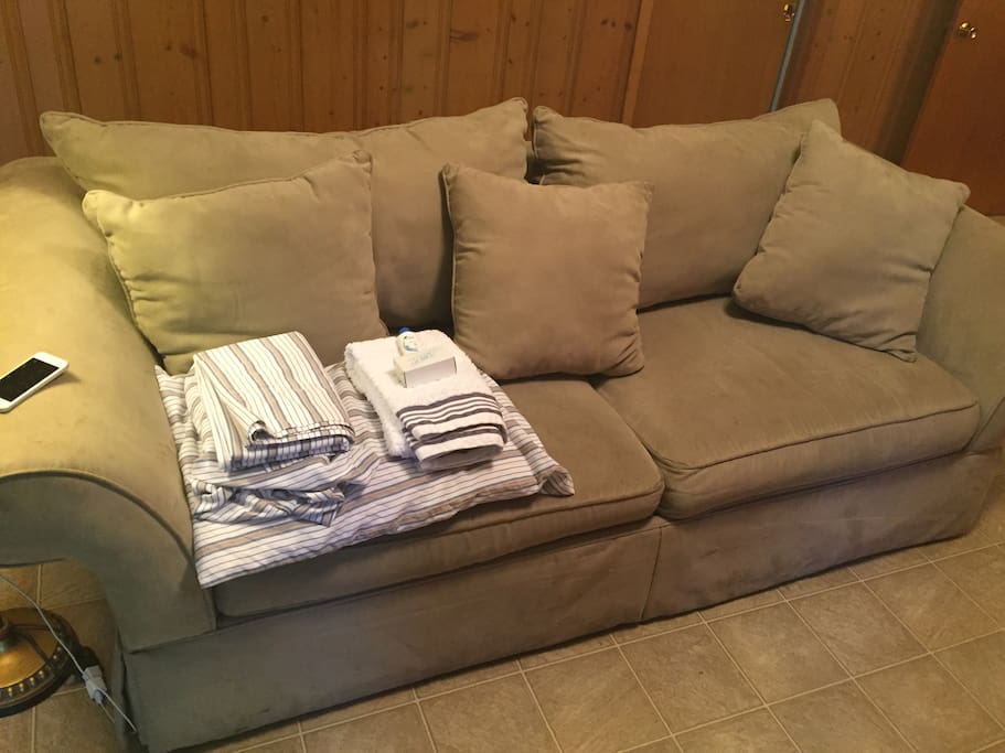 The big green couch is a favorite. There is a fold out couch if you prefer that instead.