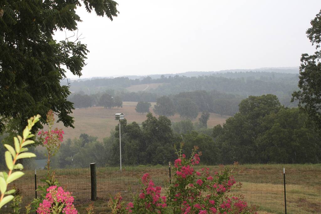 The View