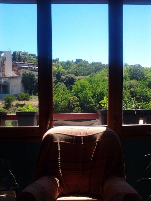View from the room.