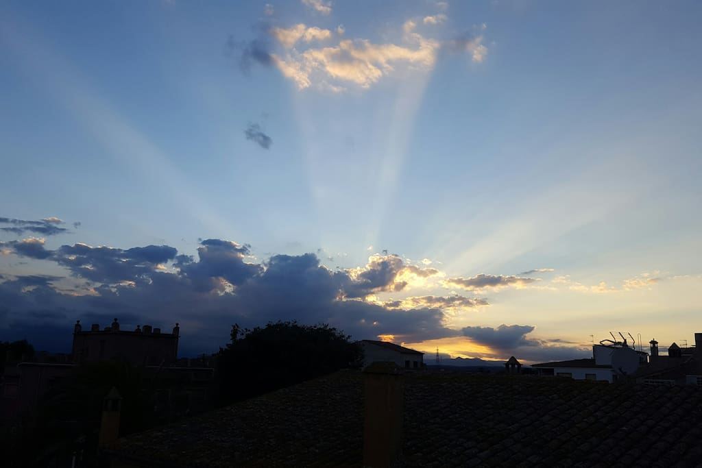 TERRAZA