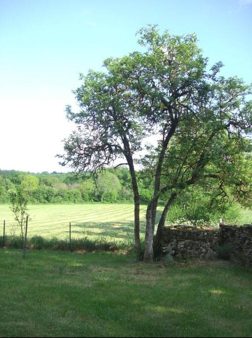 Vue à l'entrée du gîte