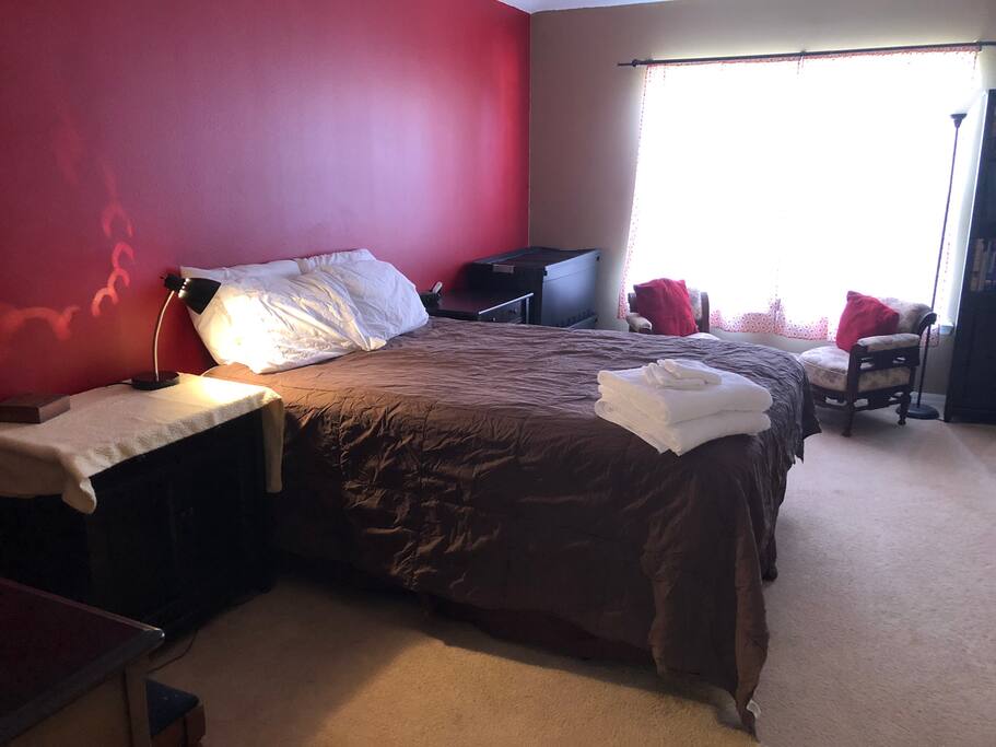 The Book lover’s room