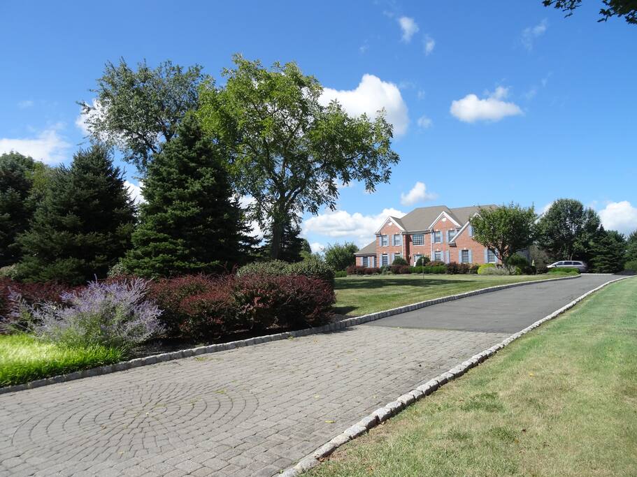 Driveway leading up to house