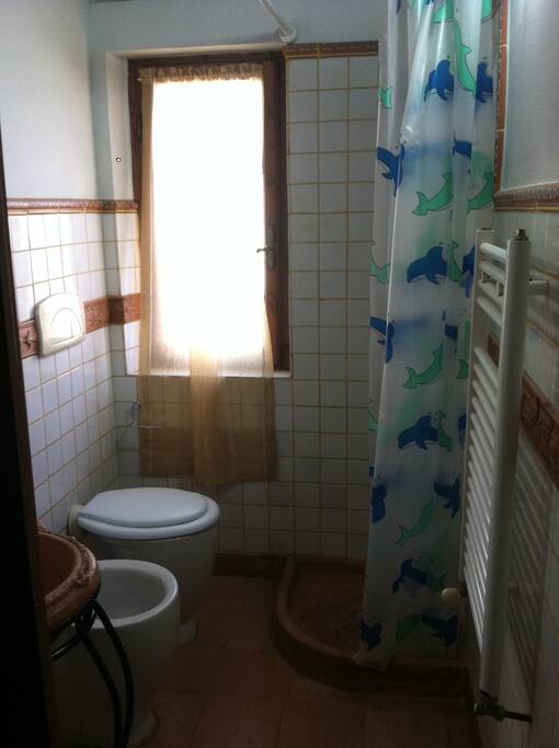 The bathroom, including toilet, sink, bidet and shower