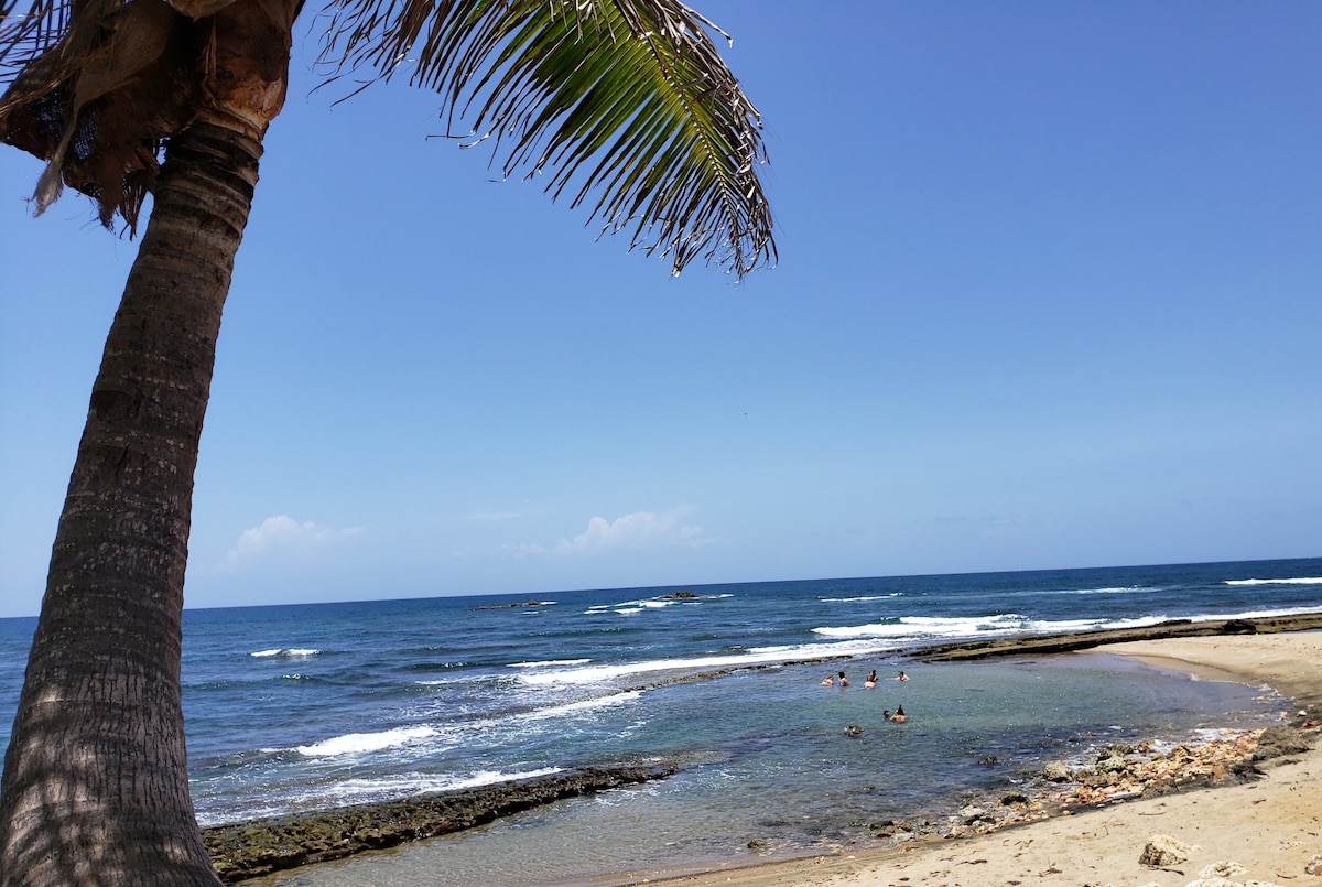A sandy beach is viewed under a clear blue sky, framed by a tall palm tree. Gentle waves create ripples in the water, where a few individuals can be seen enjoying the shallow area. Vibrant green leaves extend from the palm, adding a natural touch.