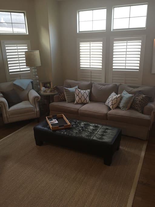Down filled couch and chair with leather ottoman