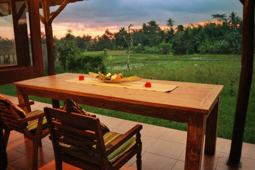 Your private rice field