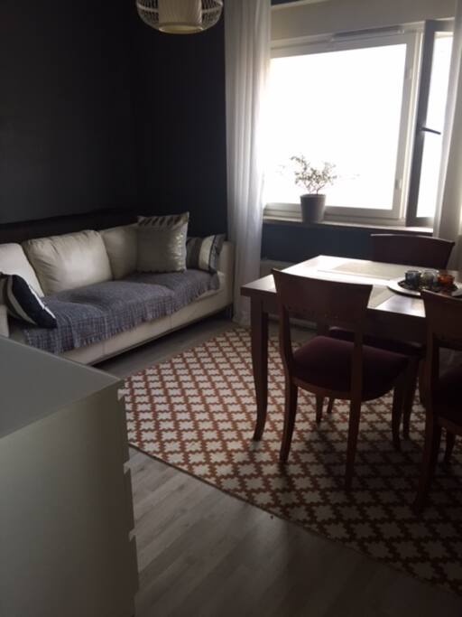 This is the second bedroom. Behind the sofa I keep a spare mattress (90 cm wide) you can use. Better for sleeping than the leather sofa.