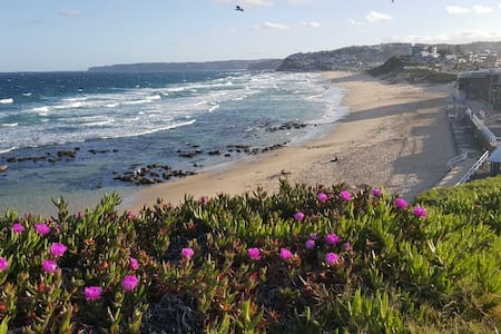 A Cosy & Sunny Unit Between Bar Beach/Cooks Hill.