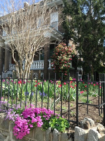 Efficiency suite in Capitol Hill