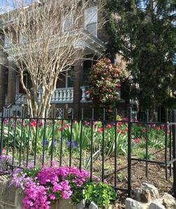 Efficiency suite in Capitol Hill