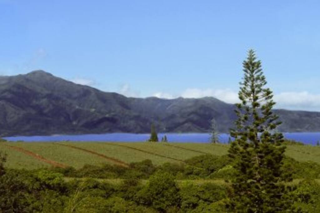 Spectacular, panoramic views of ocean, mountains, coastline, and distant city lights.
