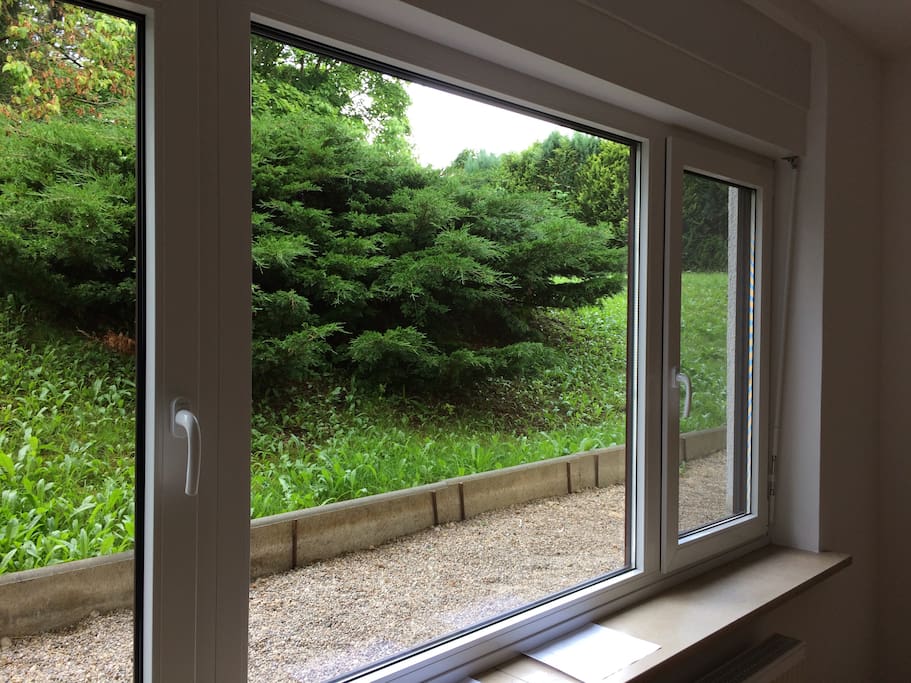 Blick aus dem Fenster in den ruhigen Garten (Halbsouterrain)