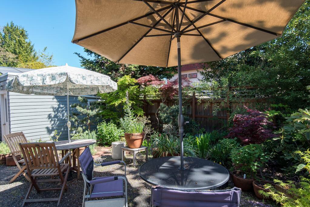Make yourself at home in our back yard.