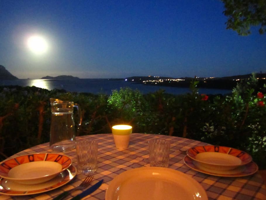 Moonlight from the terrace