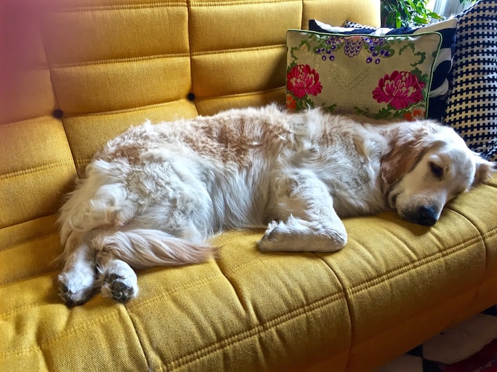 תמונה מס' 1 של הנכס B14 - אותיות.